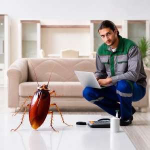 Licensed technician providing cockroach extermination service in Orlando, FL