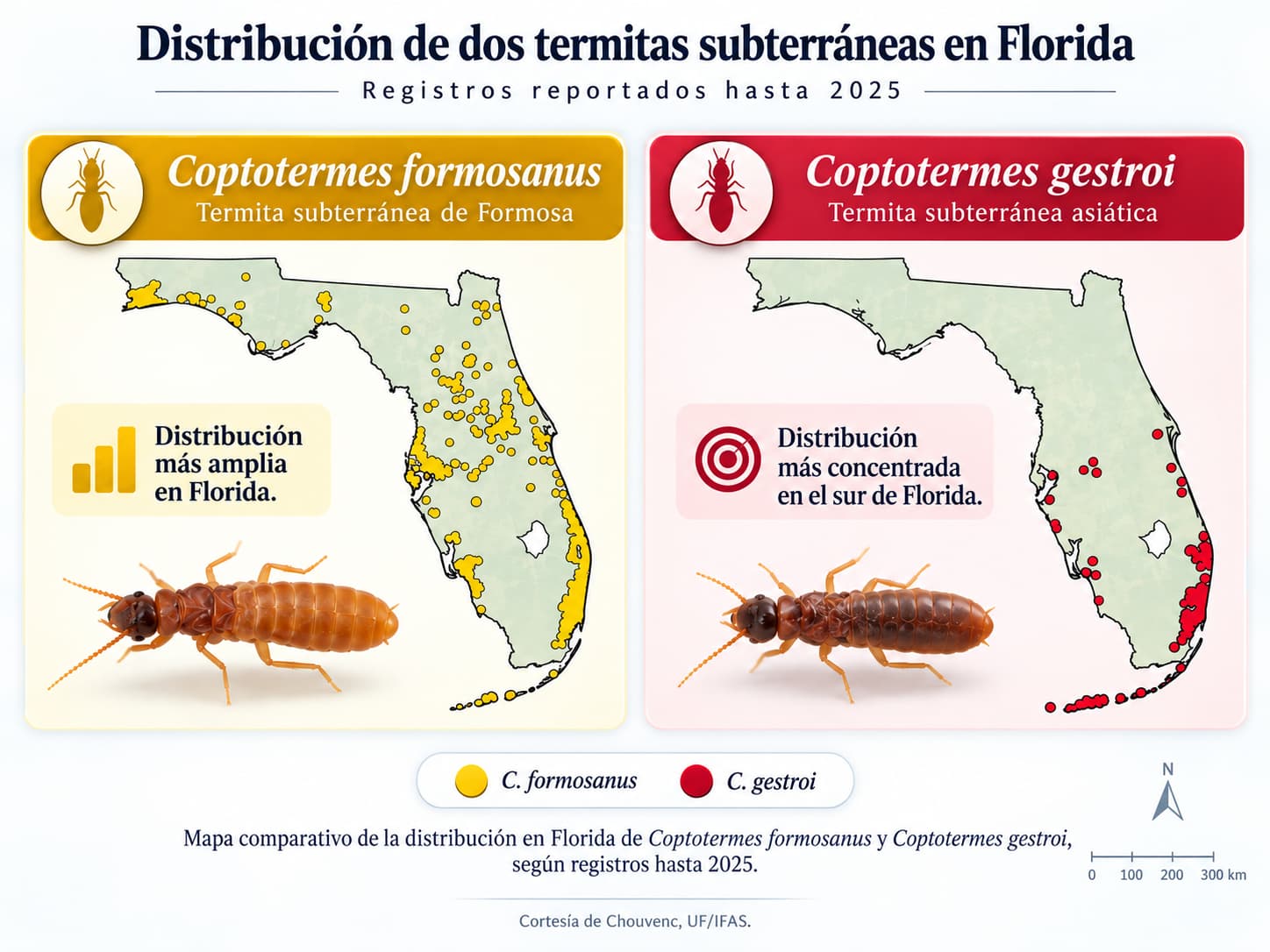 Mapa comparativo de Florida con los registros de la termita subterránea de Formosa (Coptotermes formosanus), marcados en amarillo y repartidos por gran parte del estado, frente a los de la termita subterránea asiática (Coptotermes gestroi), marcados en rojo y concentrados en el sur de Florida y la costa del Golfo.